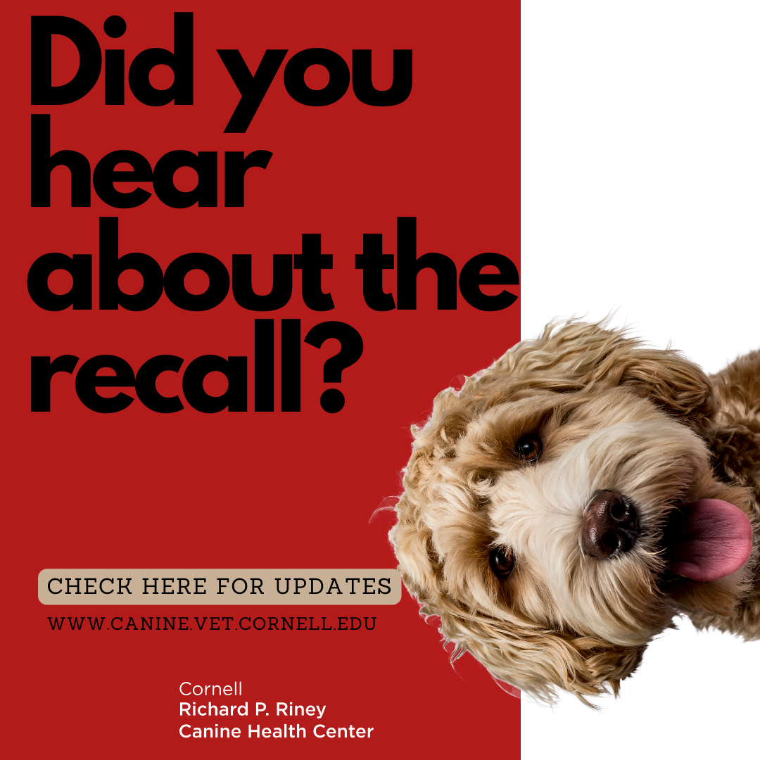 Pet dog food recall clearance